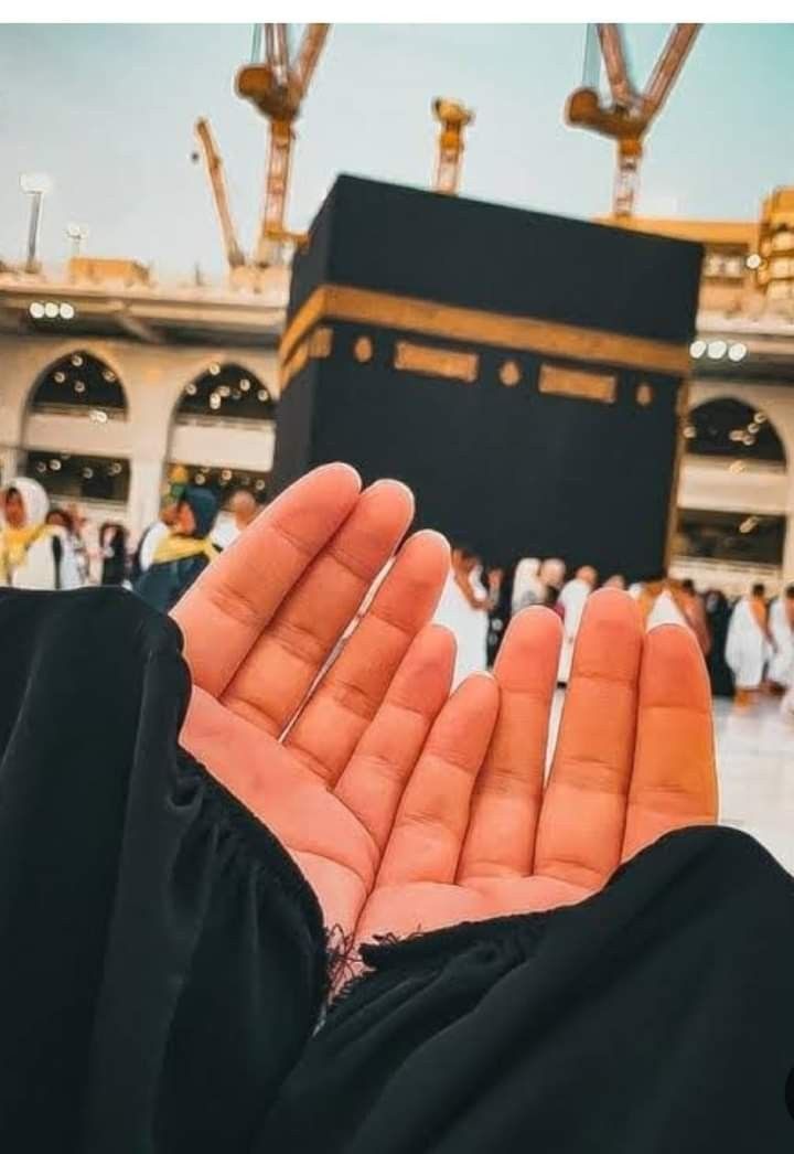 stylish-hijab-girl-dp