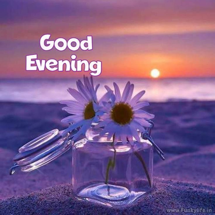 african-american-good-evening-images