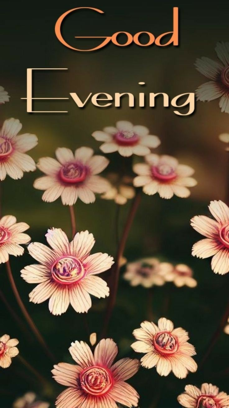 amazing-good-evening-images