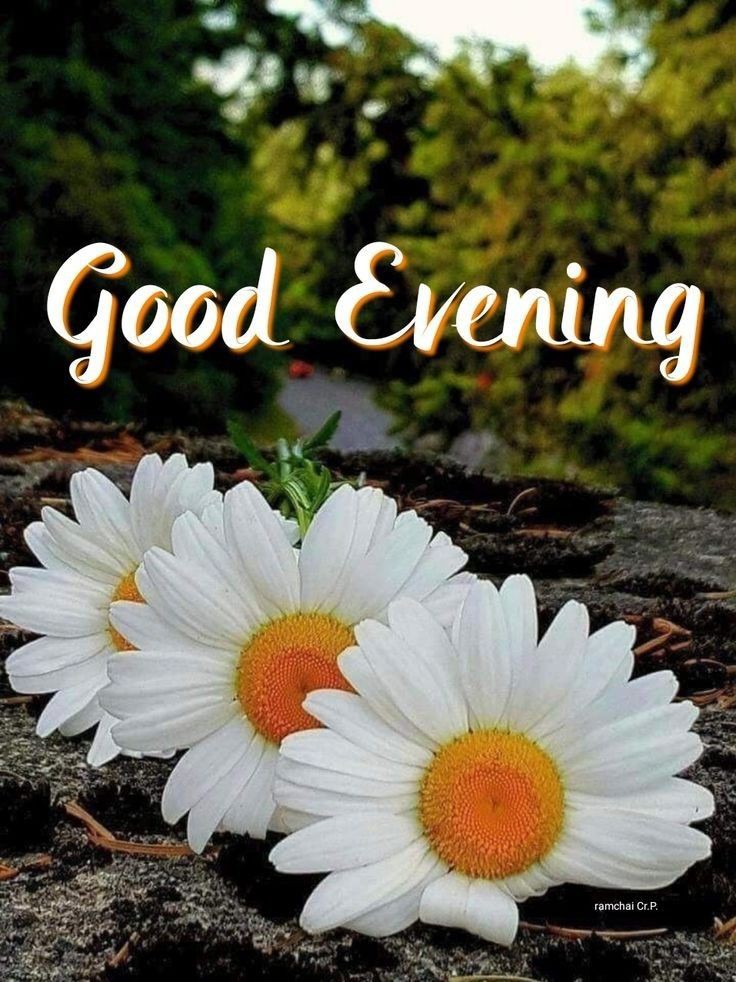 amazing-good-evening-images