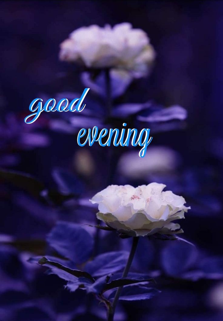 awesome-good-evening-images