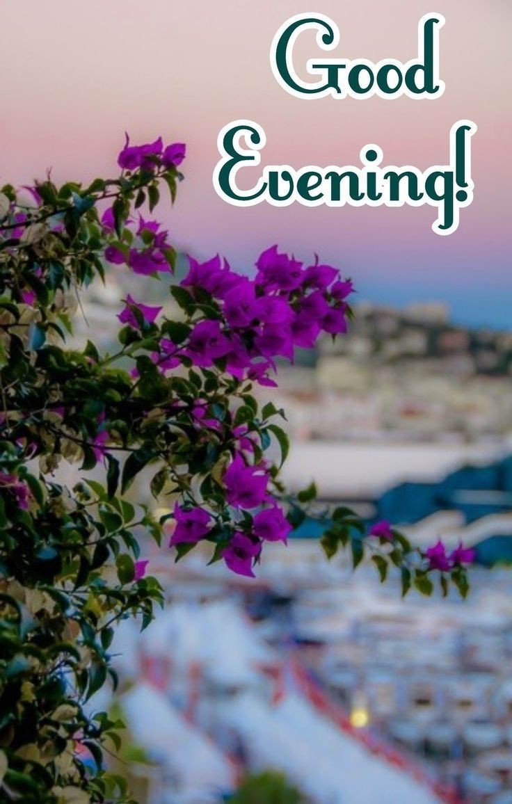 beautiful-good-evening-images-for-whatsapp-with-quotes