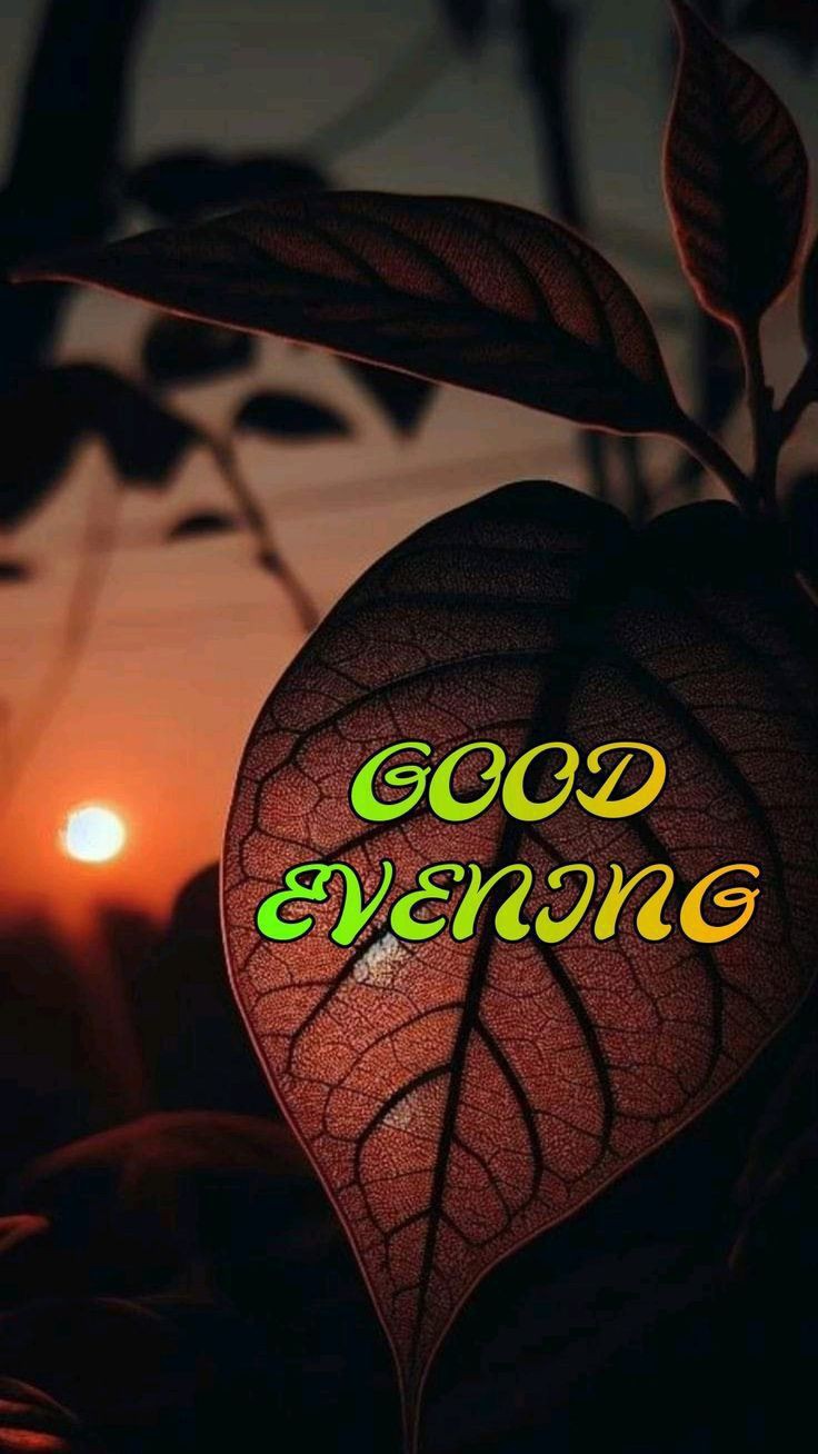 beautiful-good-evening-images-for-whatsapp