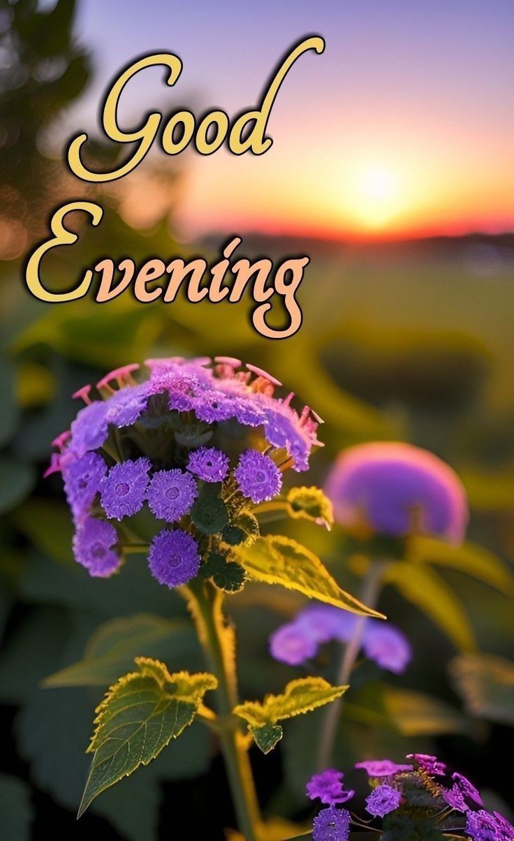 beautiful-good-evening-images-with-quotes