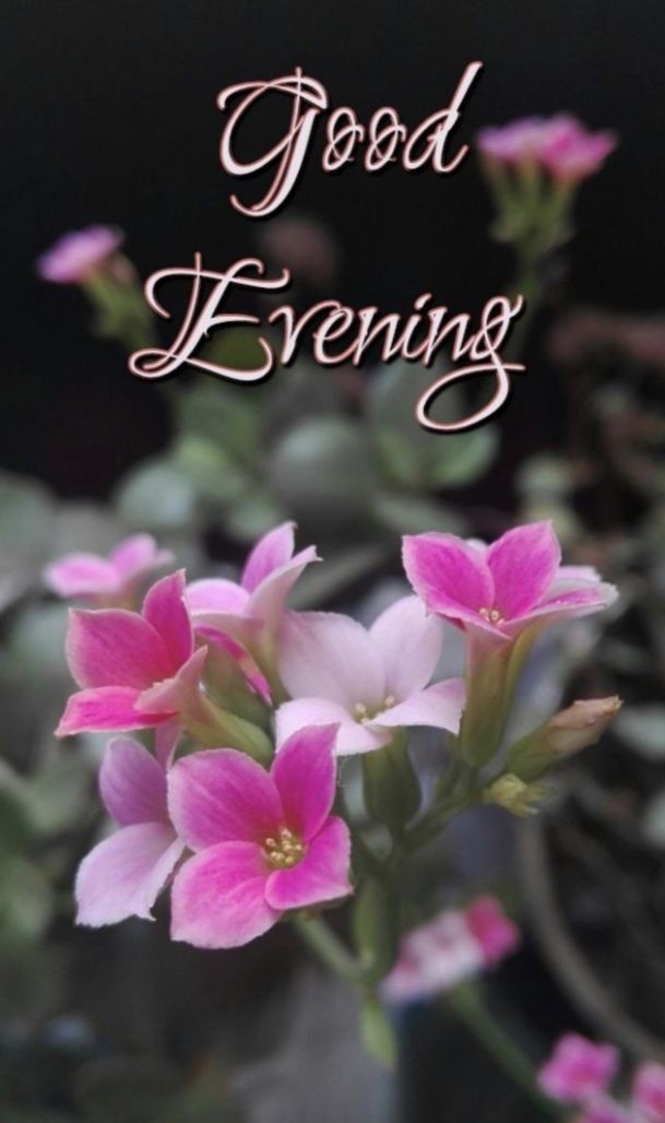 beautiful-peaceful-beautiful-good-evening-images