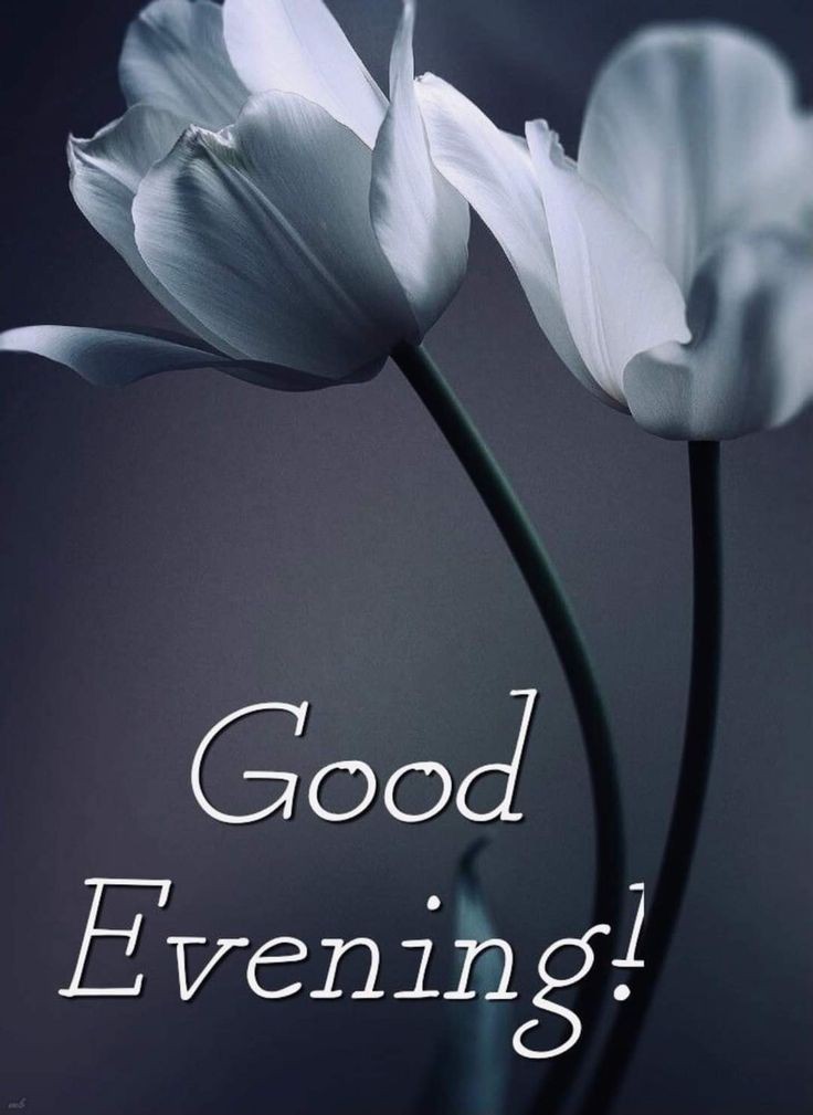 bengali-good-evening-images