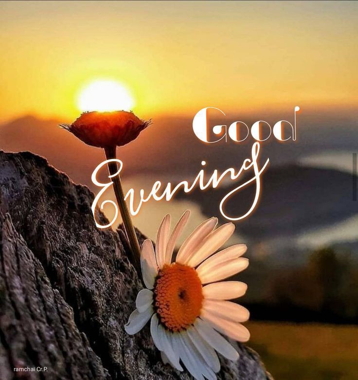 best-good-evening-images-with-quotes