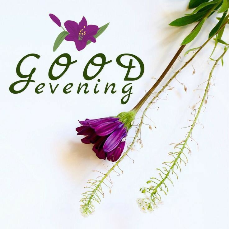 best-good-evening-images-with-quotes