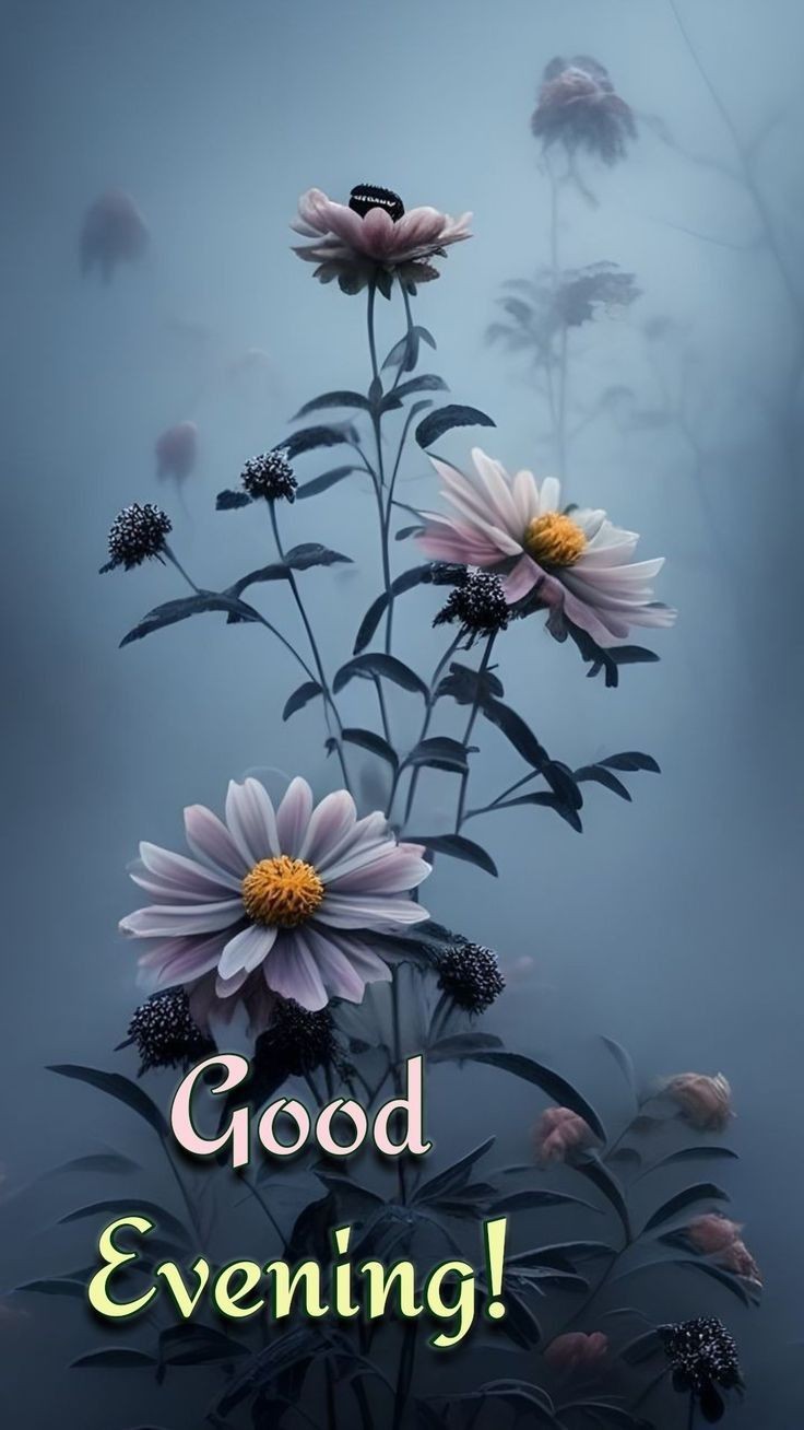 christmas-good-evening-images