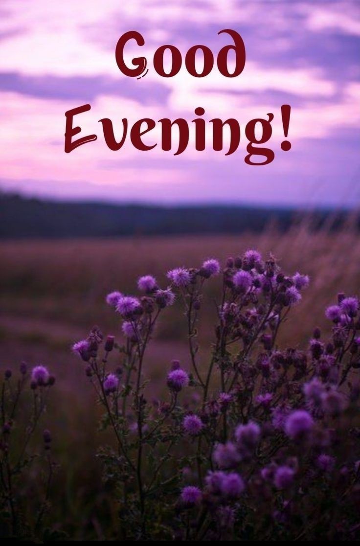 christmas-good-evening-images