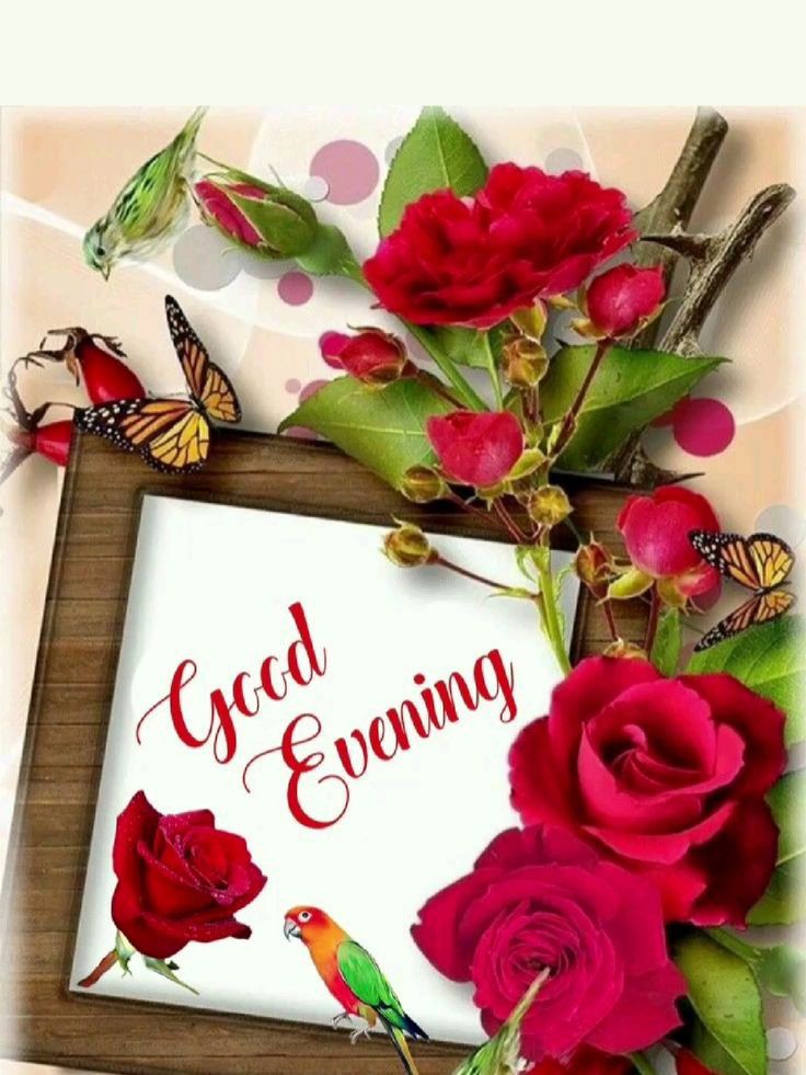 good-evening-images-and-quotes-free