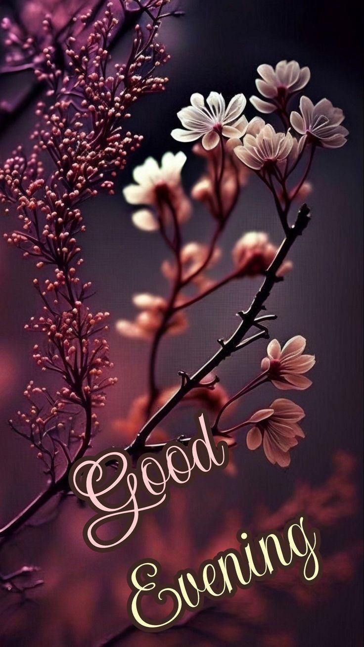 good-evening-images-and-quotes