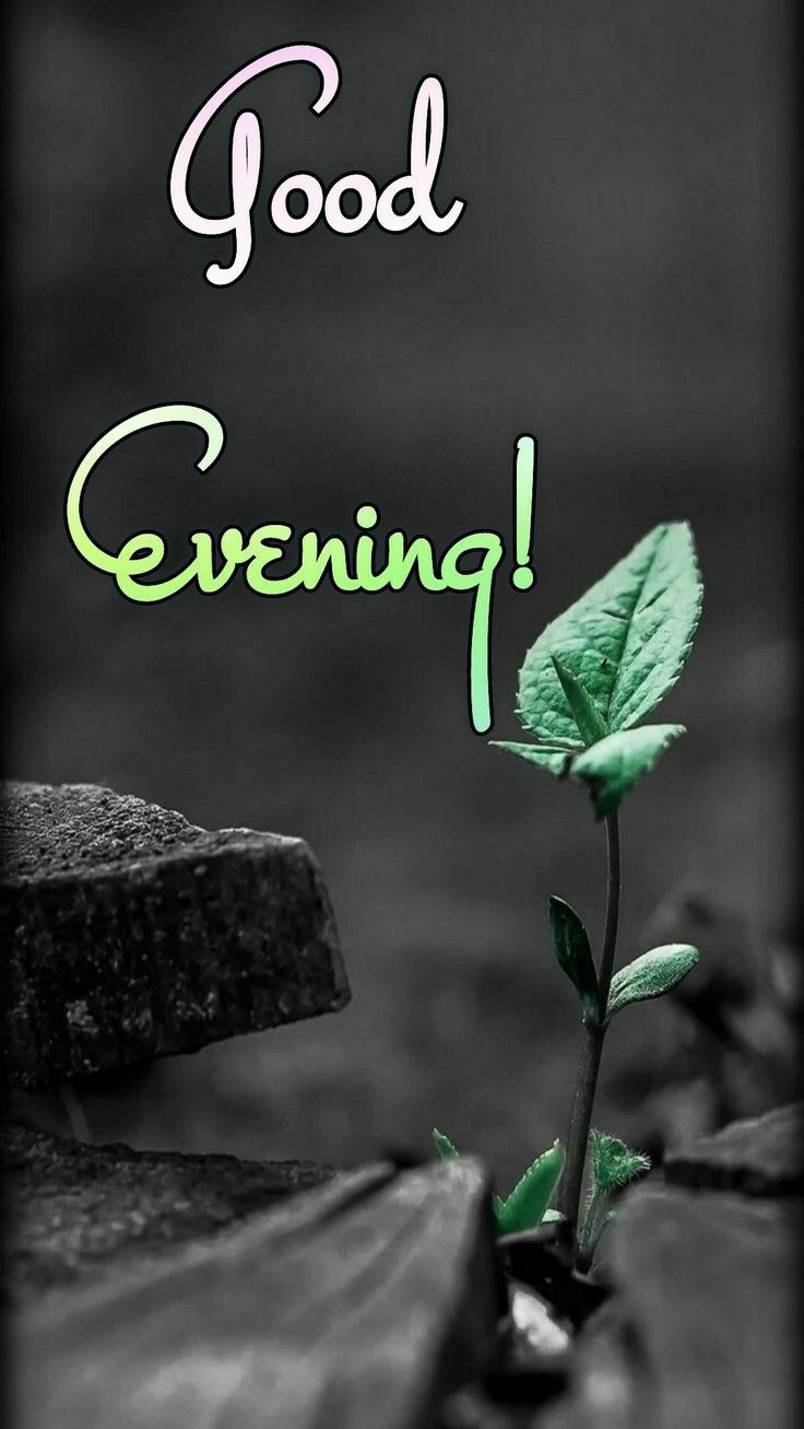 good-evening-images-beautiful