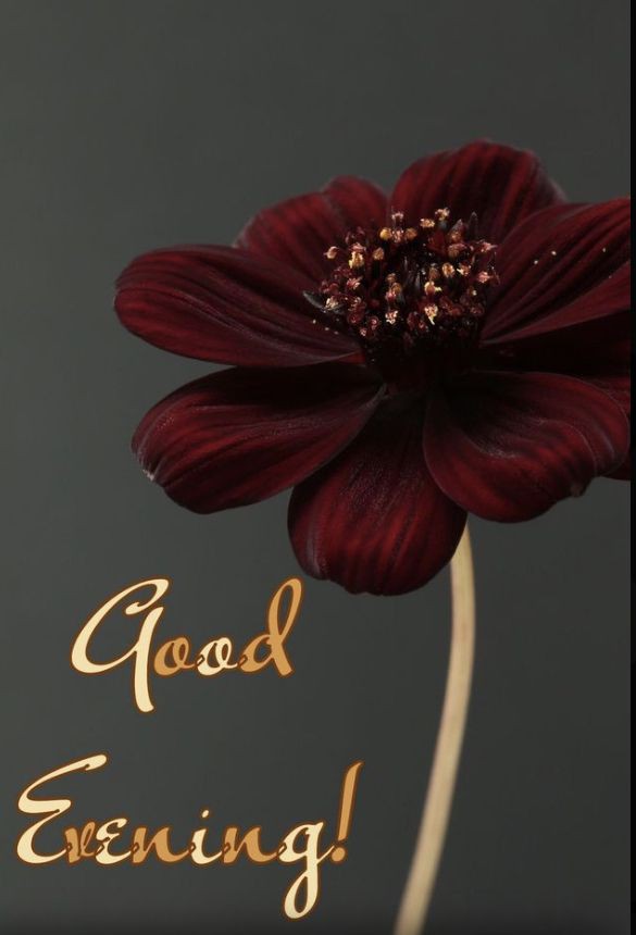 good-evening-images-chai