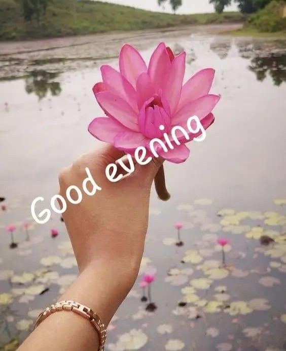 good-evening-quotes-and-images