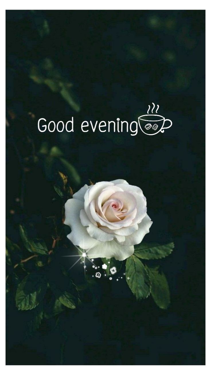 good-morning-images-aesthetic