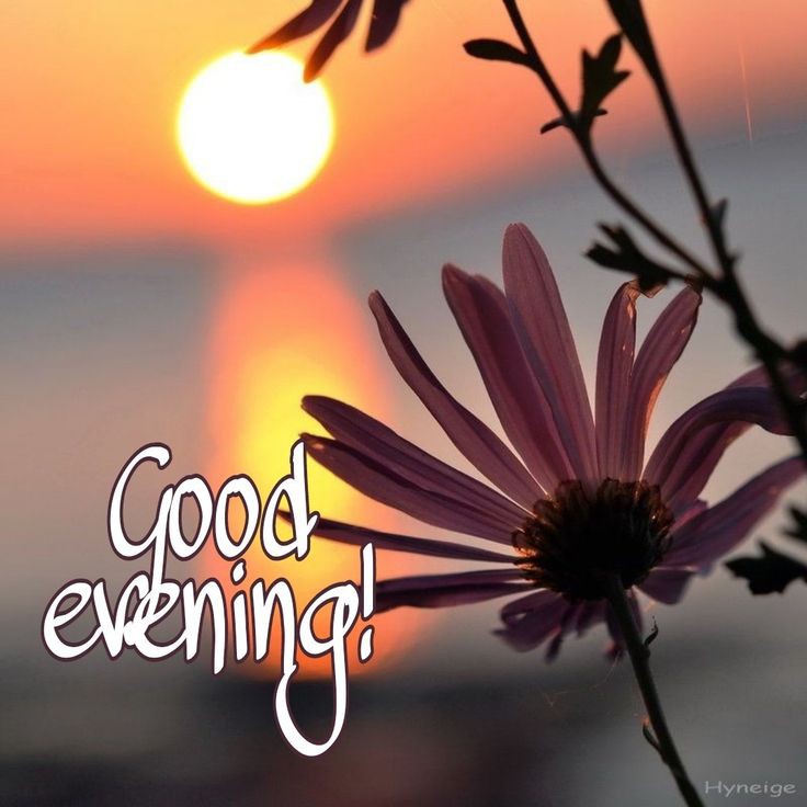 good-morning-images-download-for-whatsapp