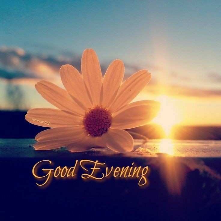 lovely-good-evening-images