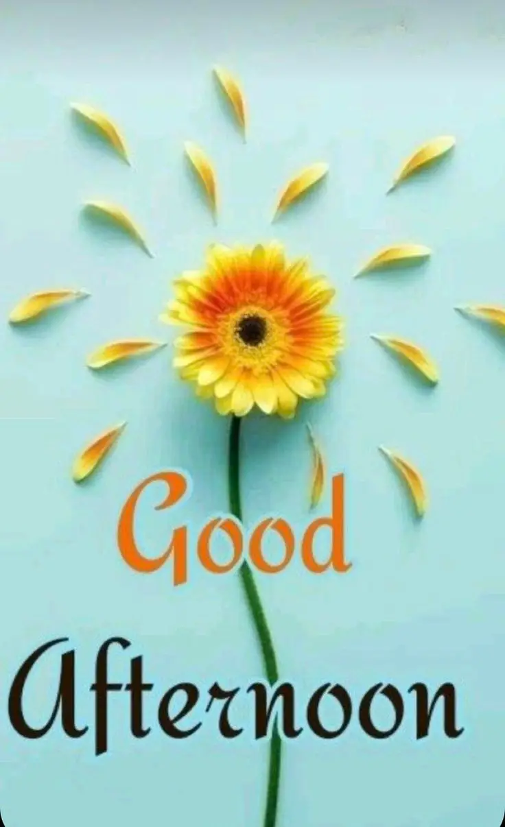 african-american-good-afternoon-images