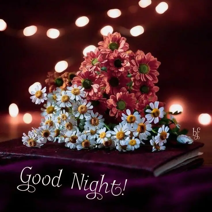 beautiful-good-night-images-and-quotes