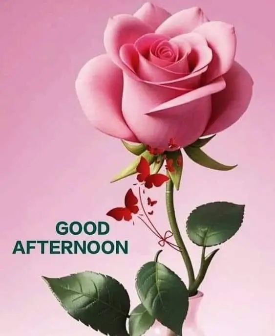 best-good-afternoon-images