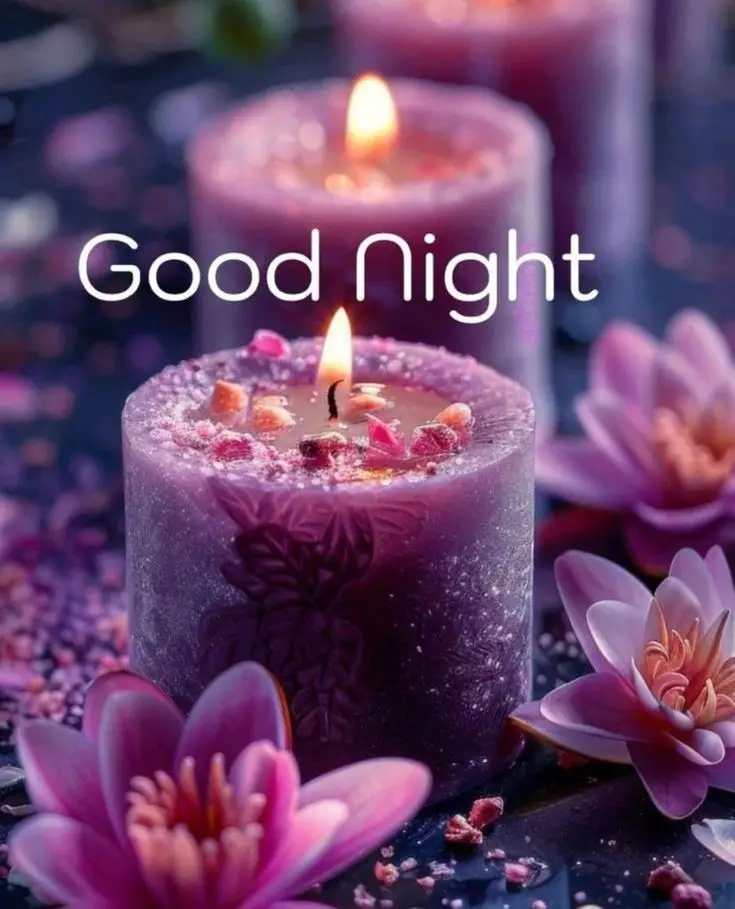 cute-good-night-images-and-quotes