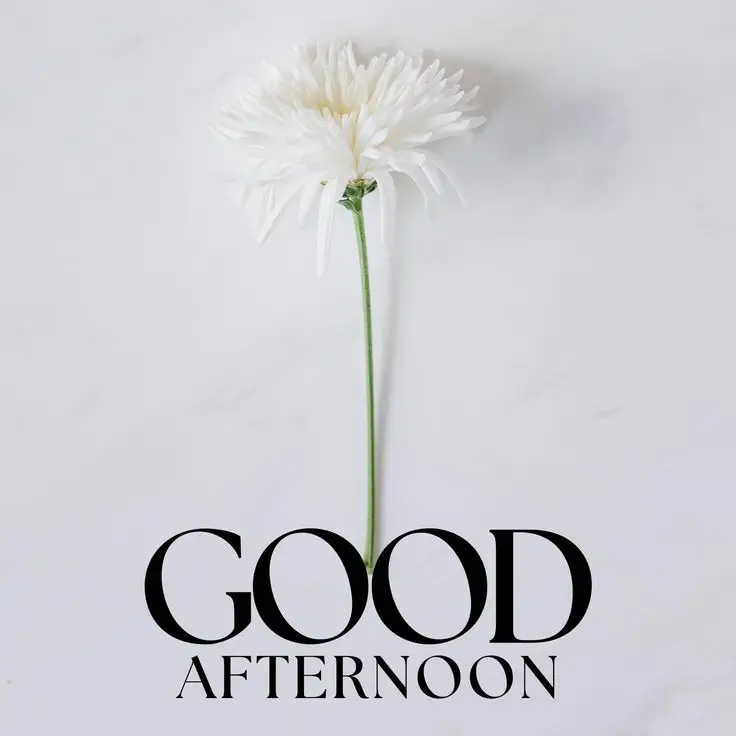 good-afternoon-images-african-american