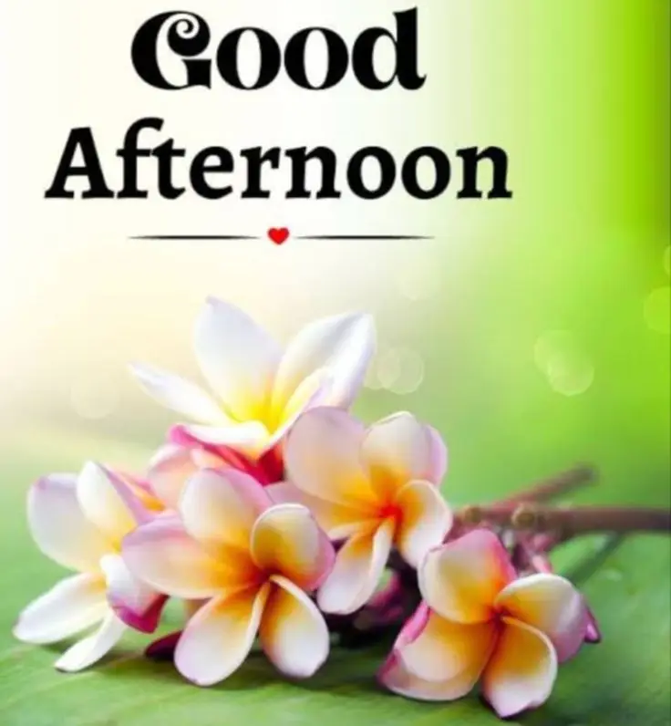 good-afternoon-images-bengali