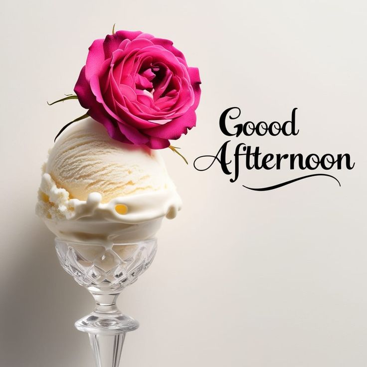 good afternoon images birds