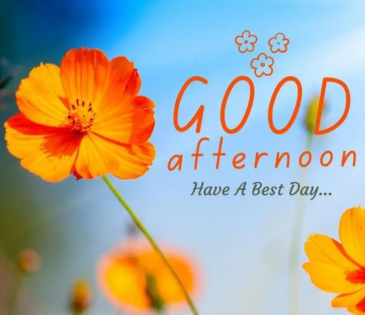 good-afternoon-picmix