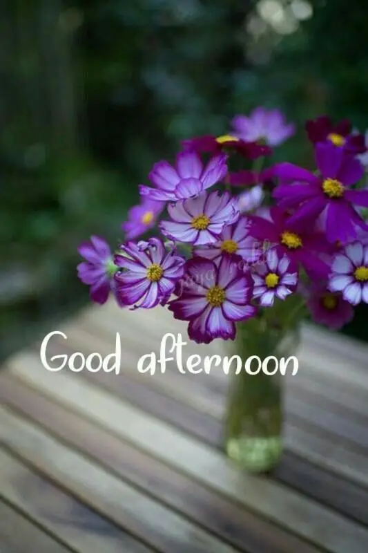 good-afternoon-pictures