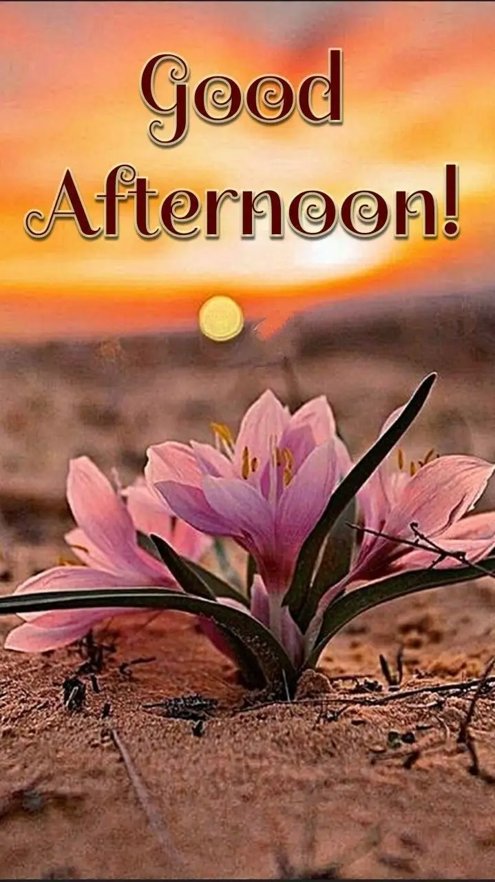 good-afternoon-pictures-and-quotes