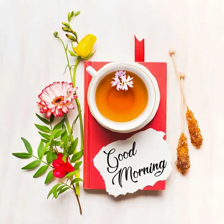 good-morning-images-cats