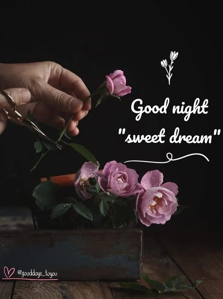 good-night-images-simple-and-beautiful-for-whatsapp