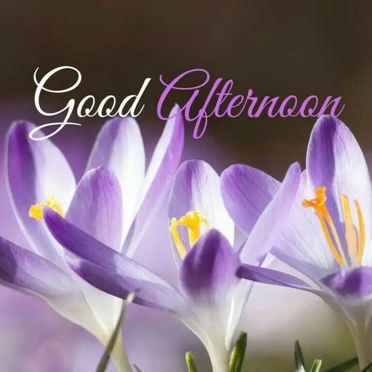 good-night-pic-alone