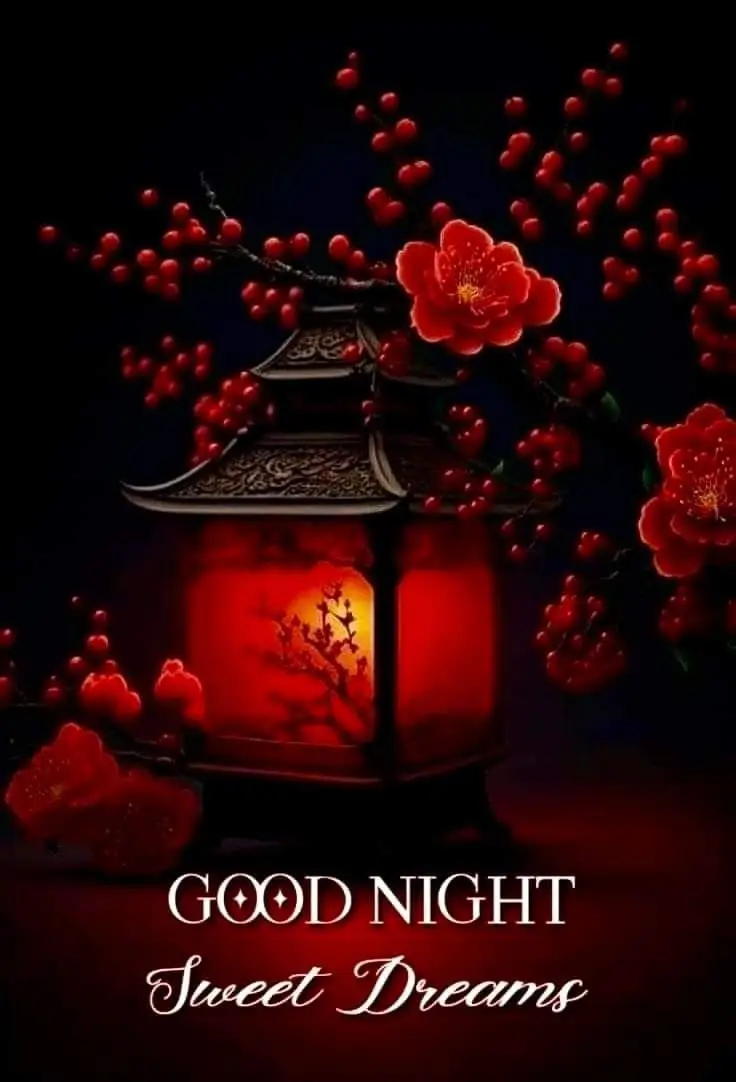 good-night-pictures-gif