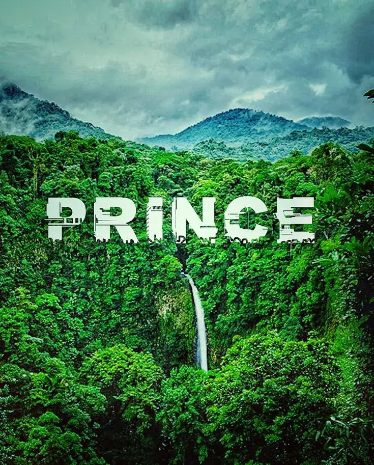 prince-name-dp-pic-love prince-name-dp-pic-love