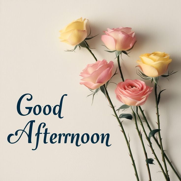 sunday good afternoon images