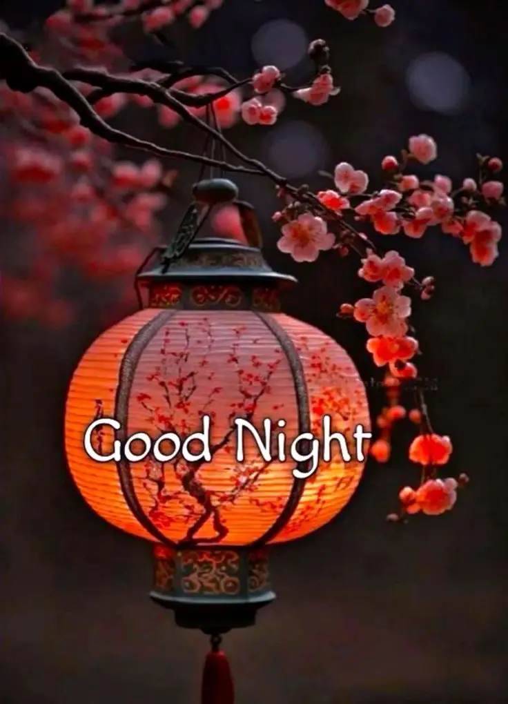 sweet-dreams-beautiful-good-night-images